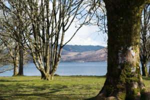 Looking out on Loch Fyne